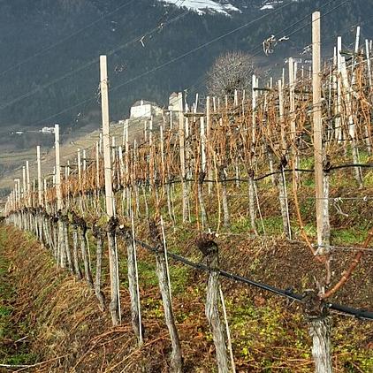 Azienda agricola