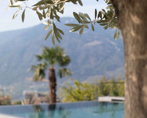 Infinity Pool