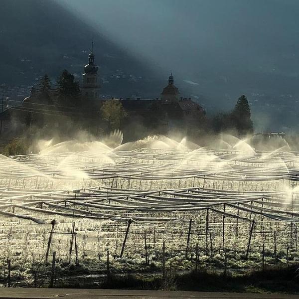 Azienda agricola
