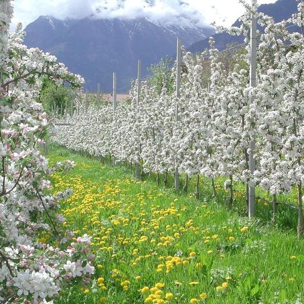 Azienda agricola